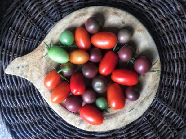 Heirloom Garden Tomatoes